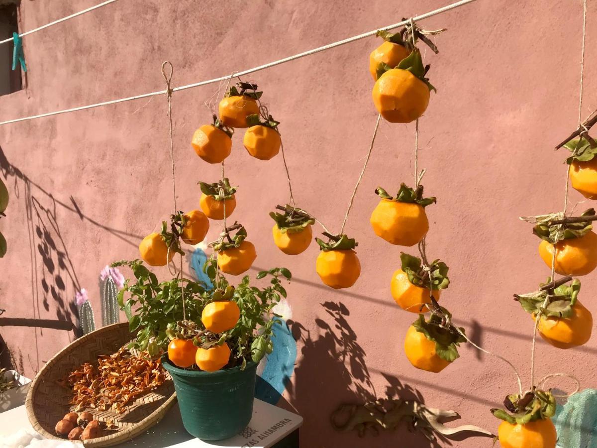 Bed & Breakfast El Carmen