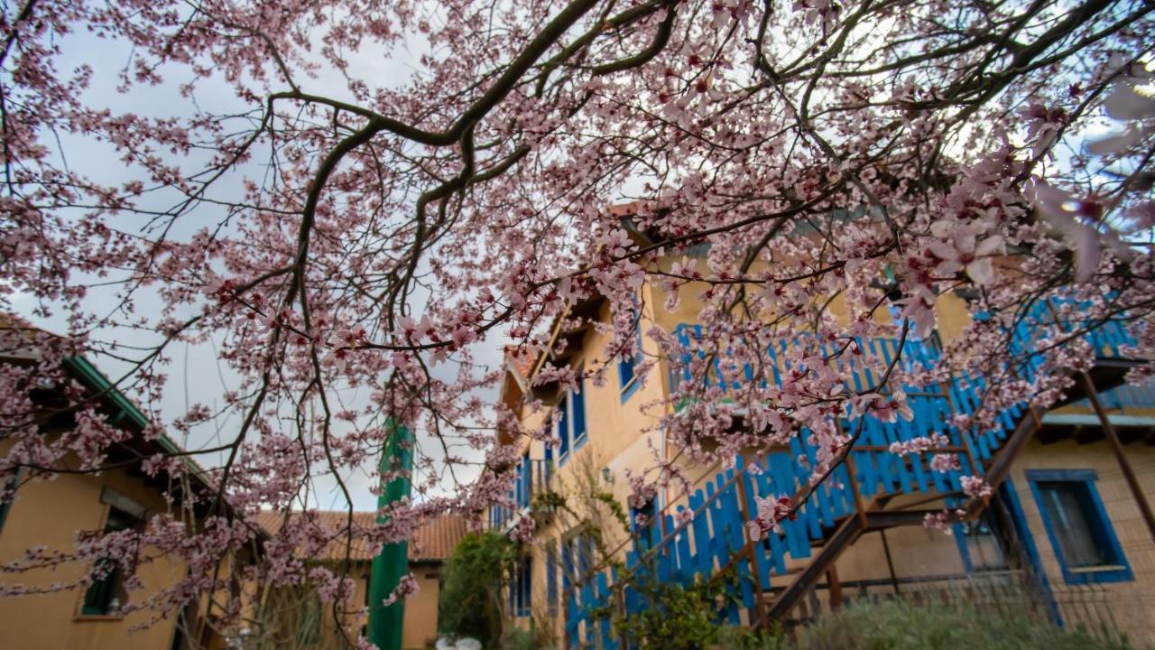 De Peregrinos Casa Flor *