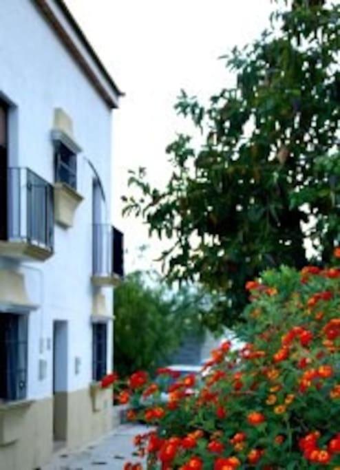 Eagles Nest - Massive Townhouse With Pool With Outstanding Views Сasa de vacaciones *