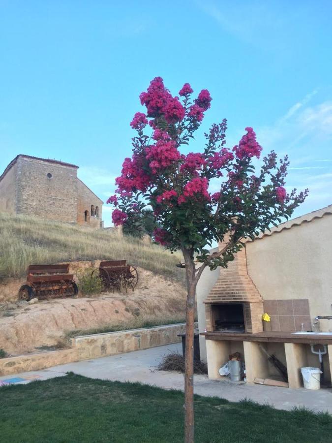 La Charolesa *