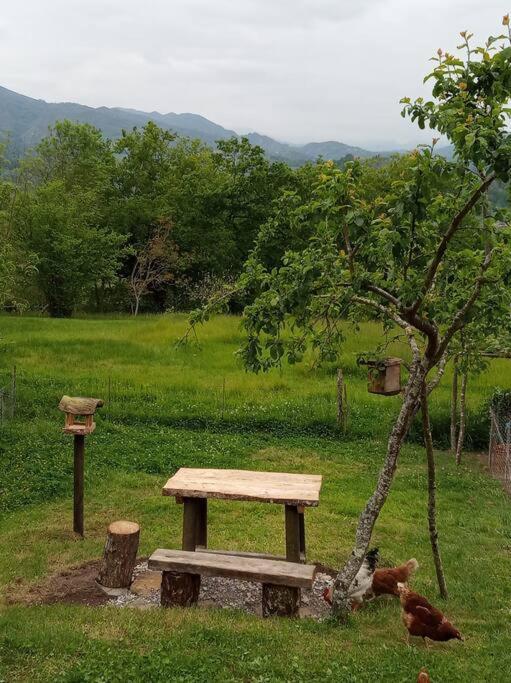Holiday home El Cotu En
