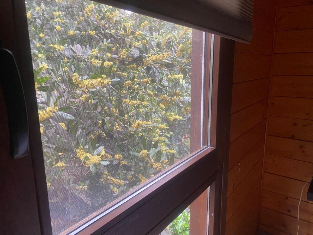 Apartamento El Bosquet *