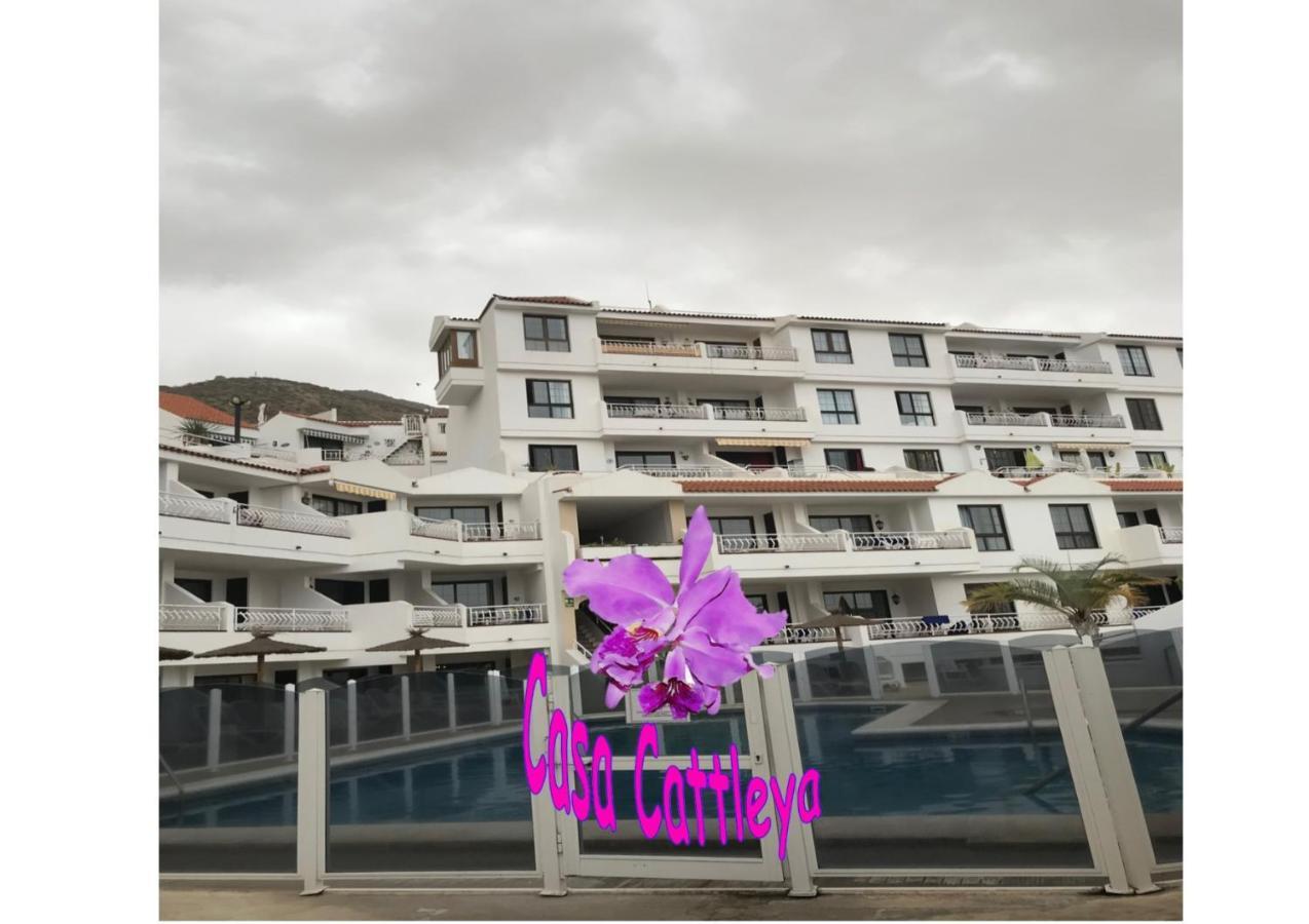 Apartment Casa Cattleya