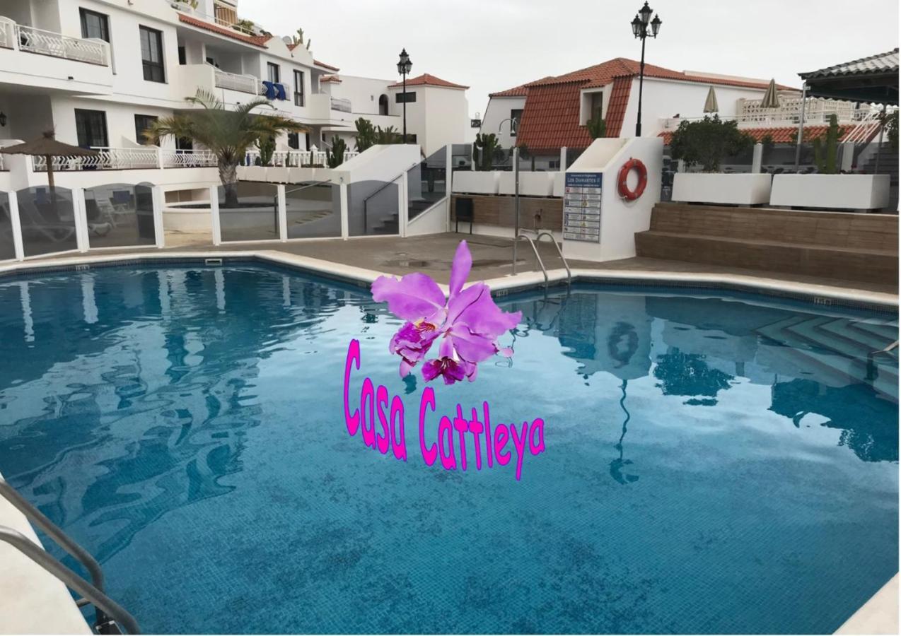Apartment Casa Cattleya *