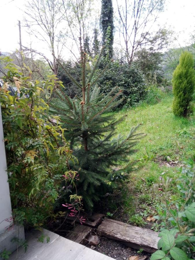 Сasa de vacaciones El Rinconin De Degu San Juan de Parres