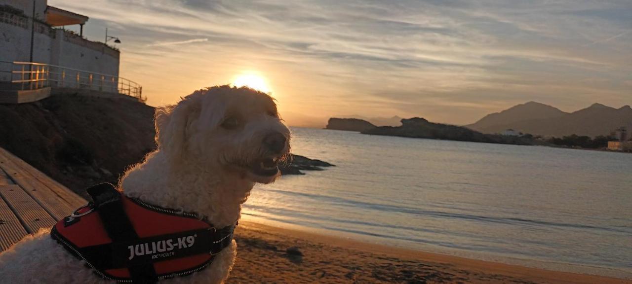 Sunrise Den, A Pie De Playa, Vista Al Mar Y Piscina *