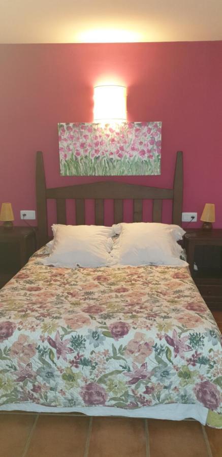 Apartamento Andrea Belmonte De Miranda