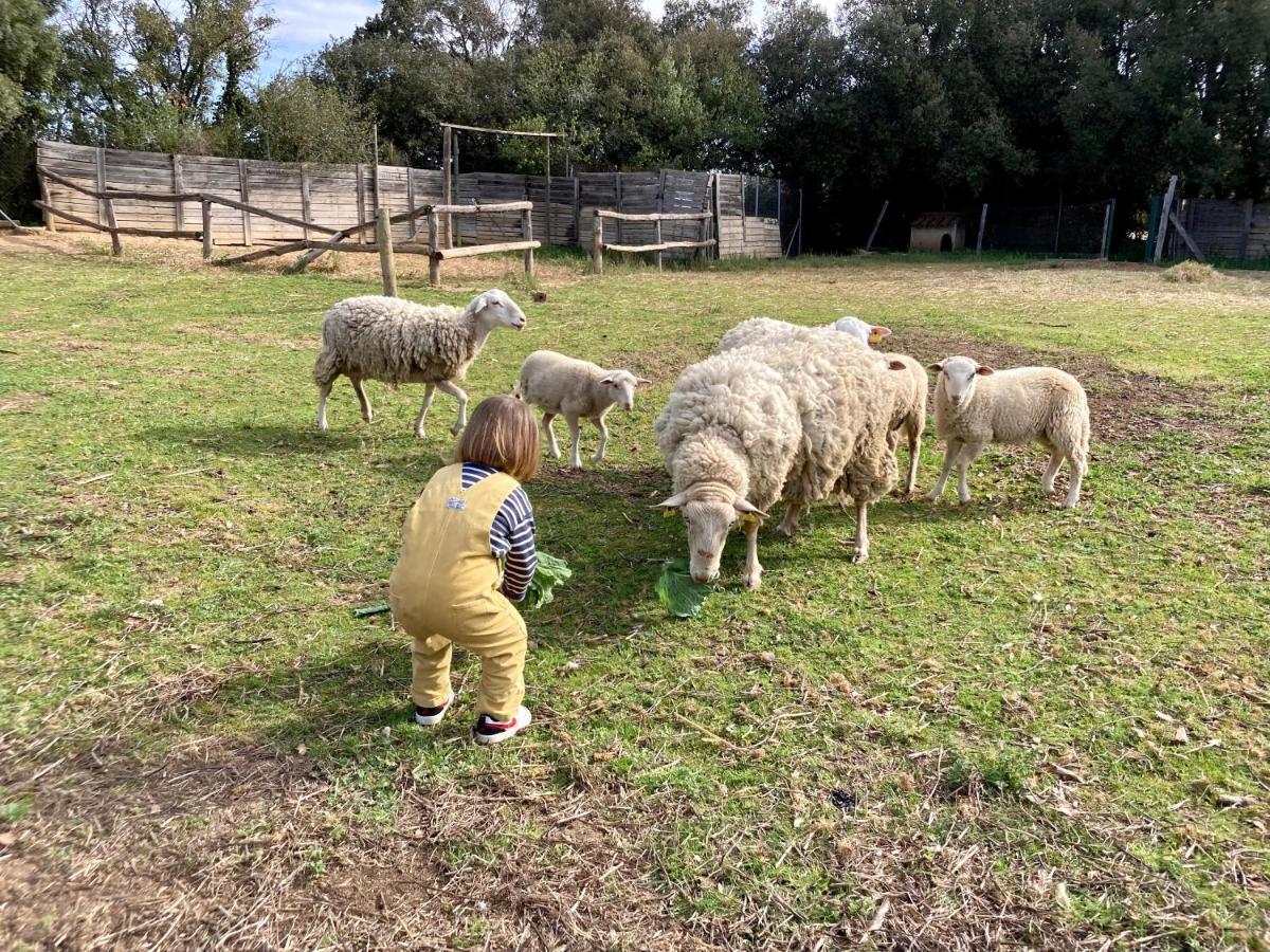 Mas La Ginesta - Ideal Per Families Amb Infants * Borrassa
