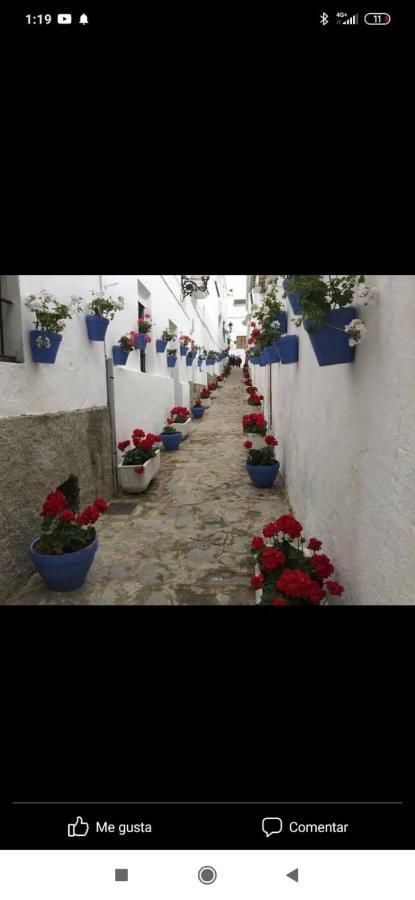 Сasa de vacaciones La Vivienda Turística Rural Algar (Cadiz)