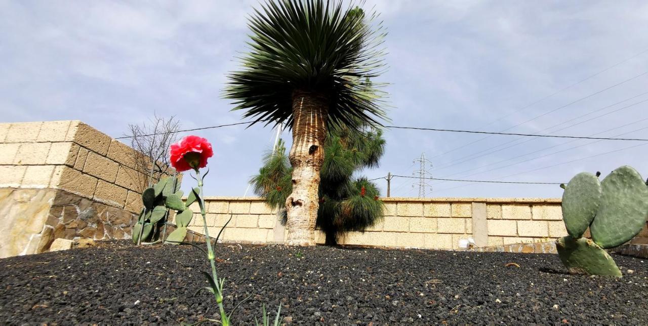 Casa Del Sur, En El Sur De Tenerife Granadilla De Abona