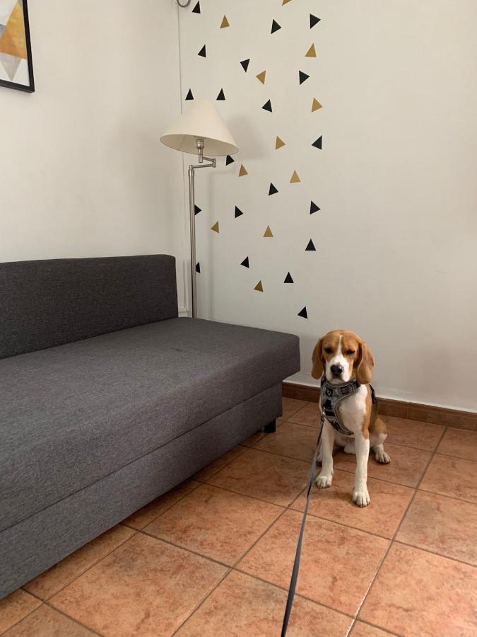 Apartment La Calleja *