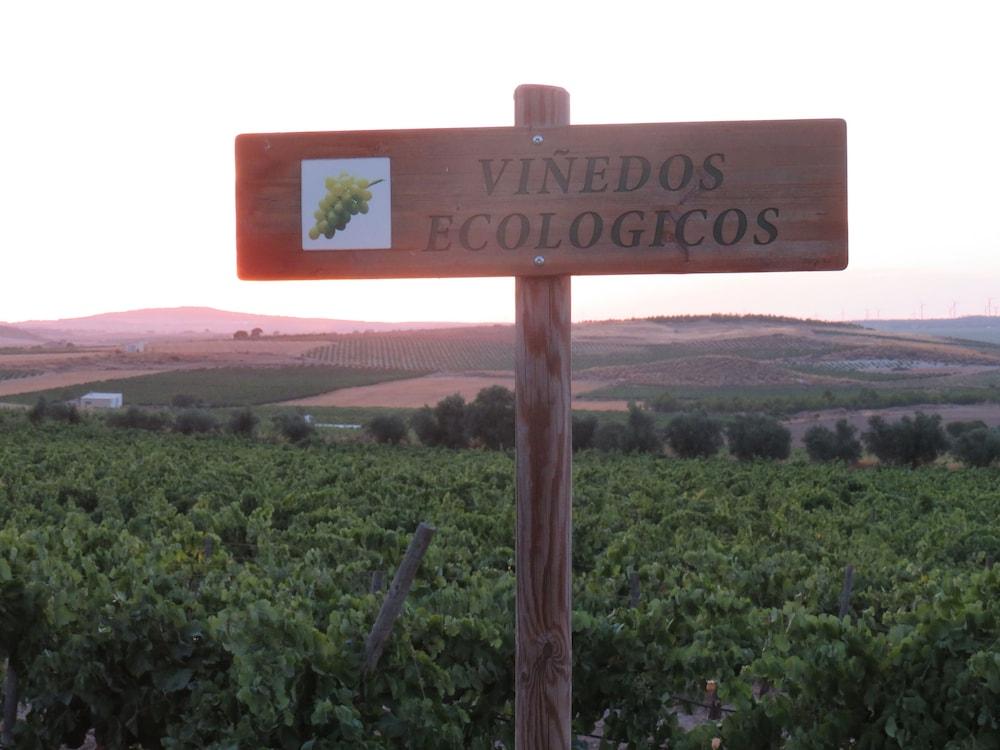 Hotel Enoturismo Mainetes Fuente-Alamo (Castilla-La Mancha)