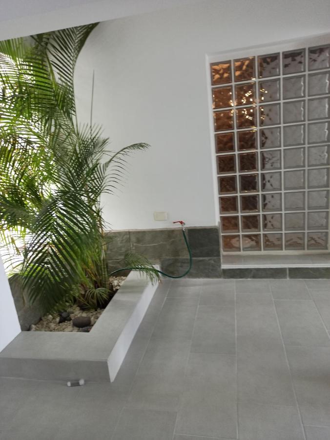 Bruna's House