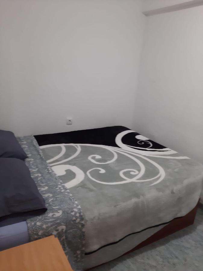 Grande En Piso Compartido Con 2 Adultos *