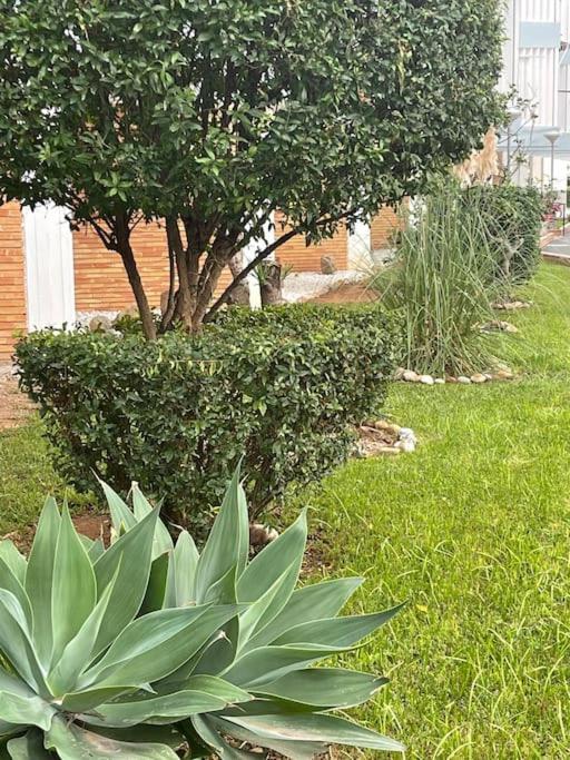 ''los Pinos'' 50m De La Apartment *