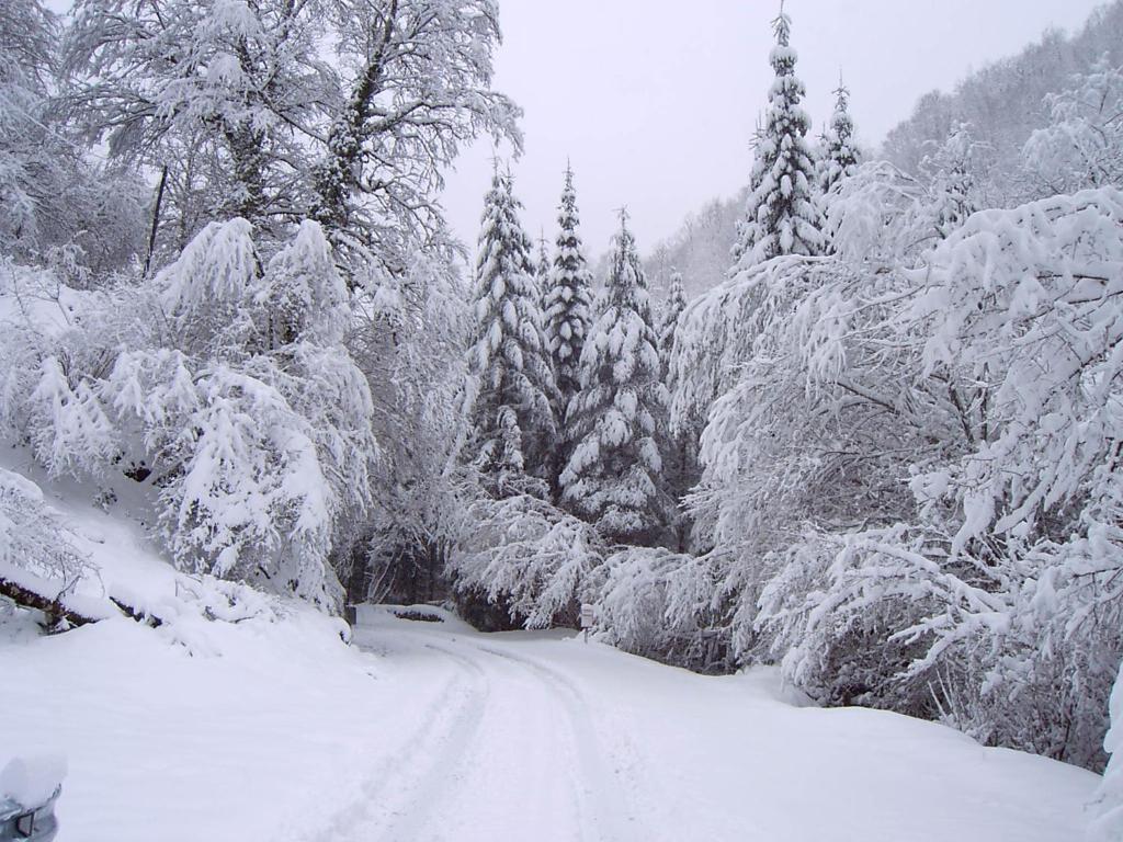Rural Arrobi Borda