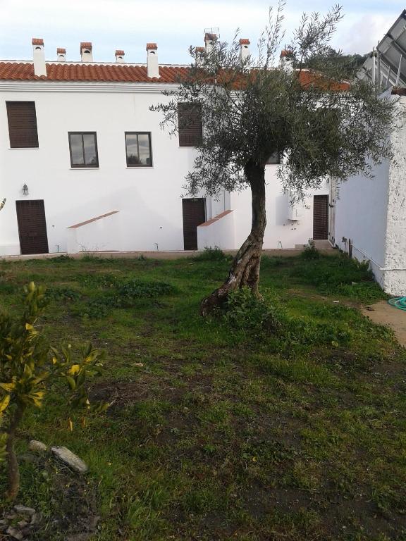 Montes * La Corte