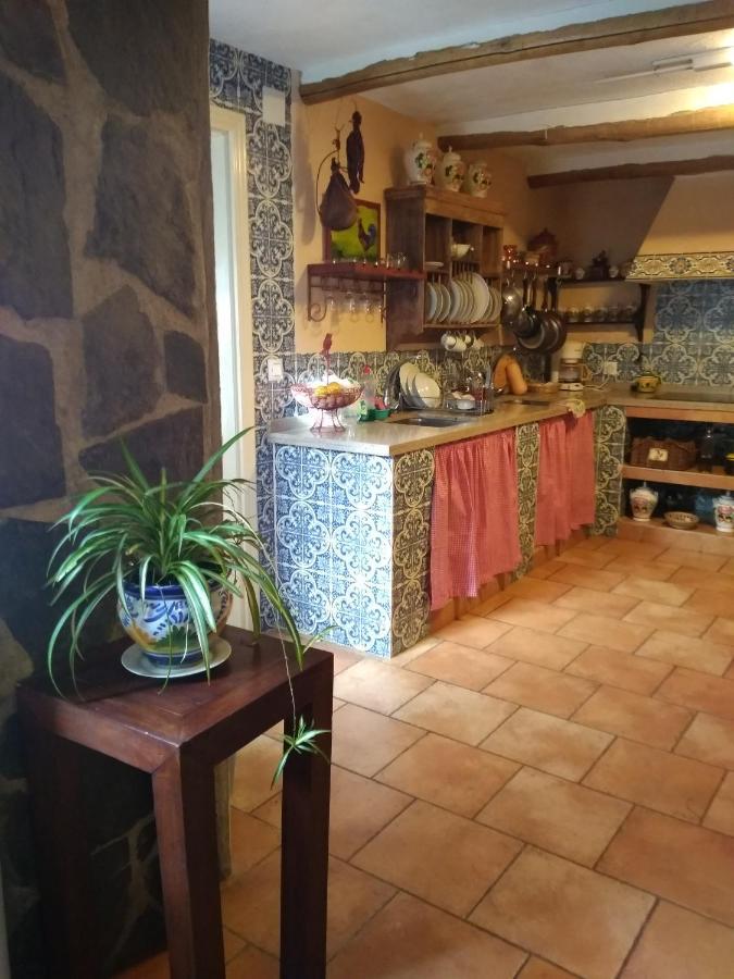 Сasa de vacaciones Nidal Del Búho