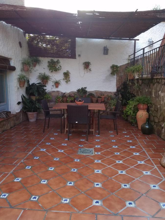 Nidal Del Búho Сasa de vacaciones