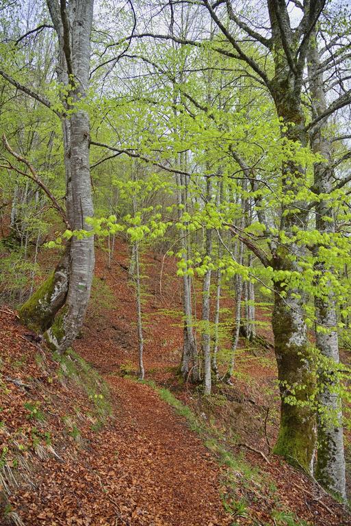 Rural Besaro - Selva De Irati Hotel