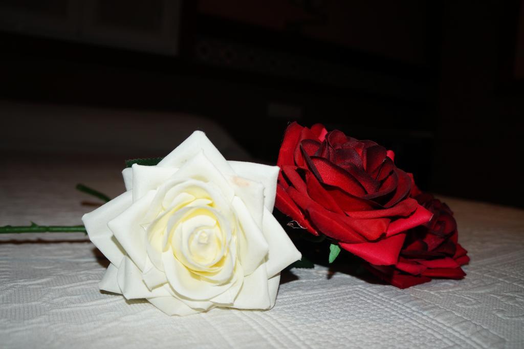 La Conilena Guest house