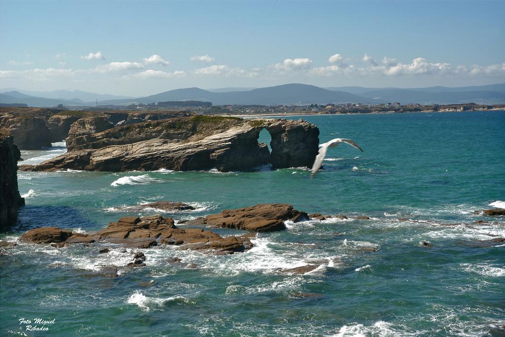Santa Cruz