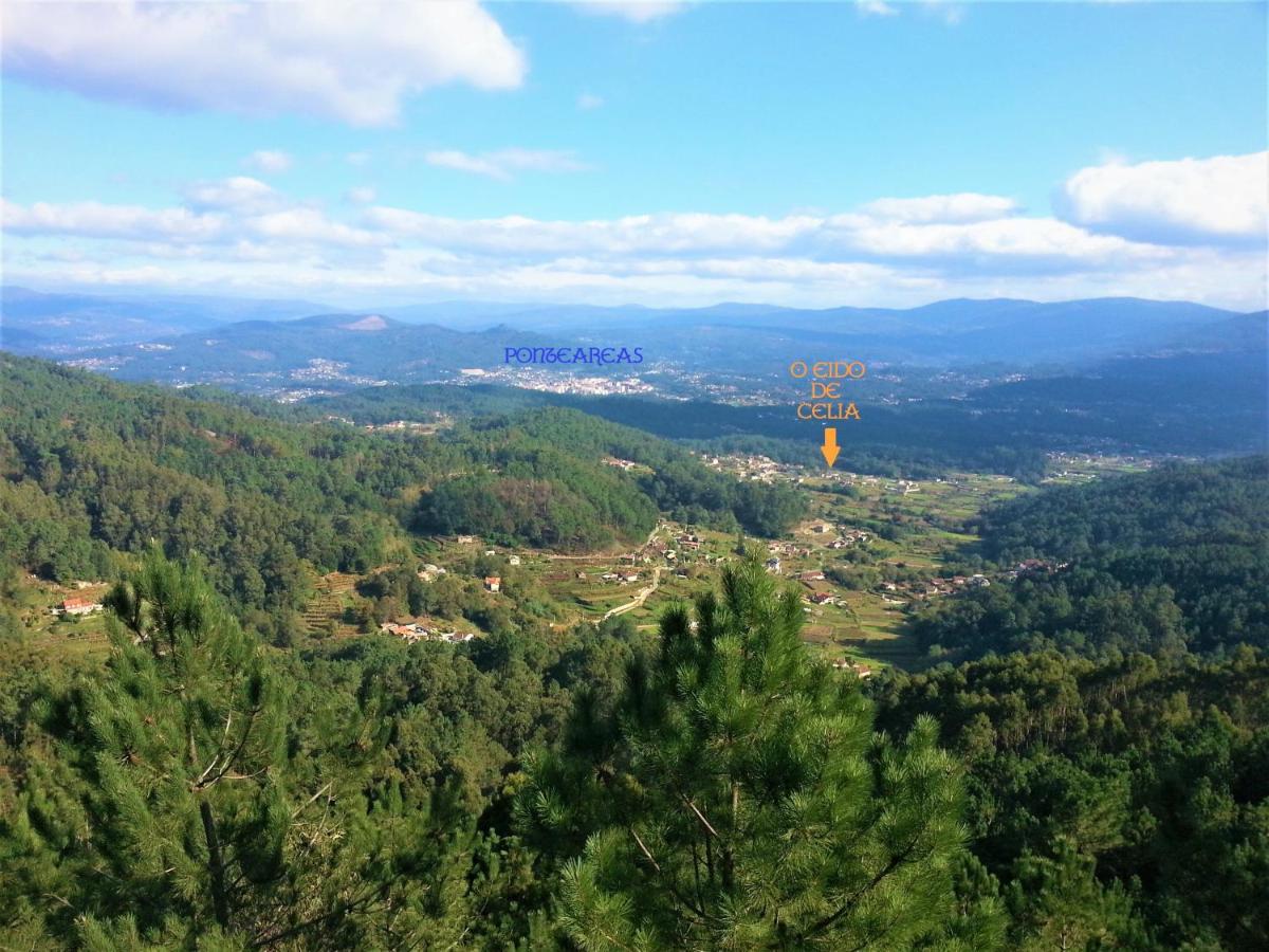 Holiday home O Eido De Celia Ponteareas