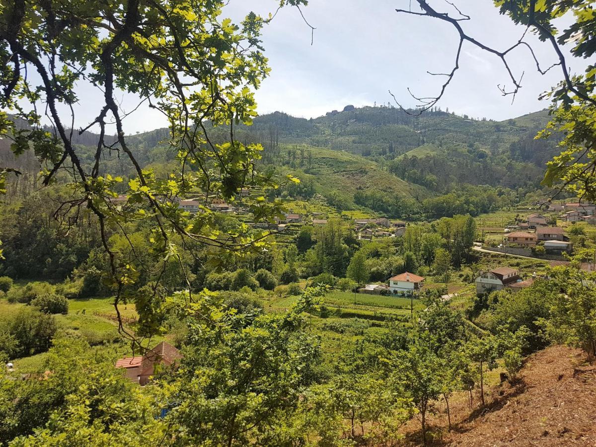 O Eido De Celia