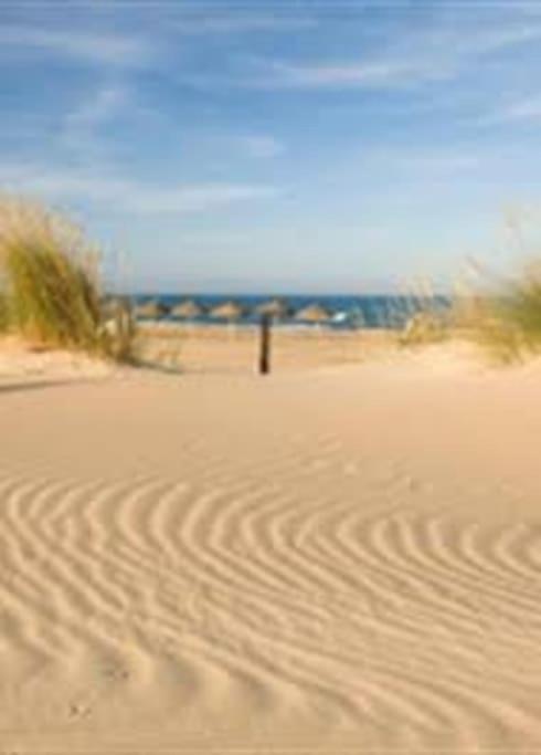 Apartamento Large Duplex Penthouse 3 Minutes From The
