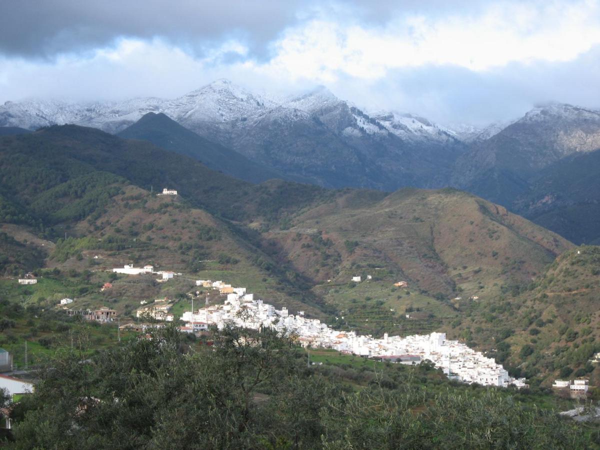 Casa Pepe La Rosa Atico Tolox