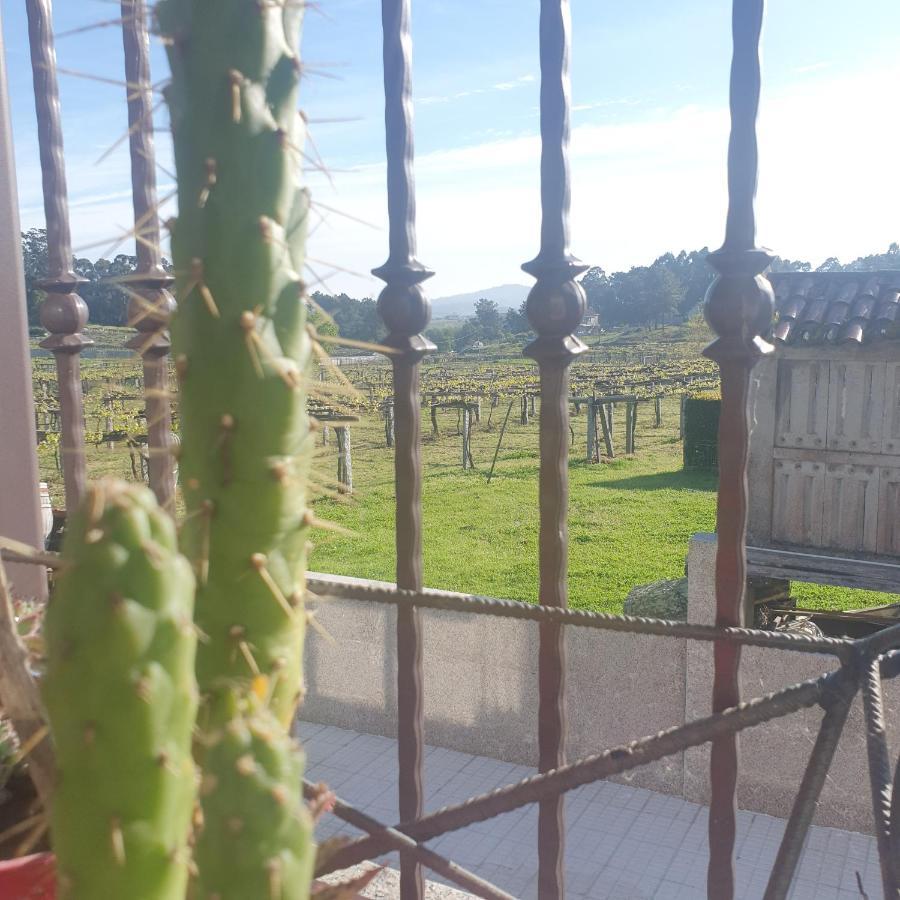 Сasa de vacaciones Casa Xesteira Cambados