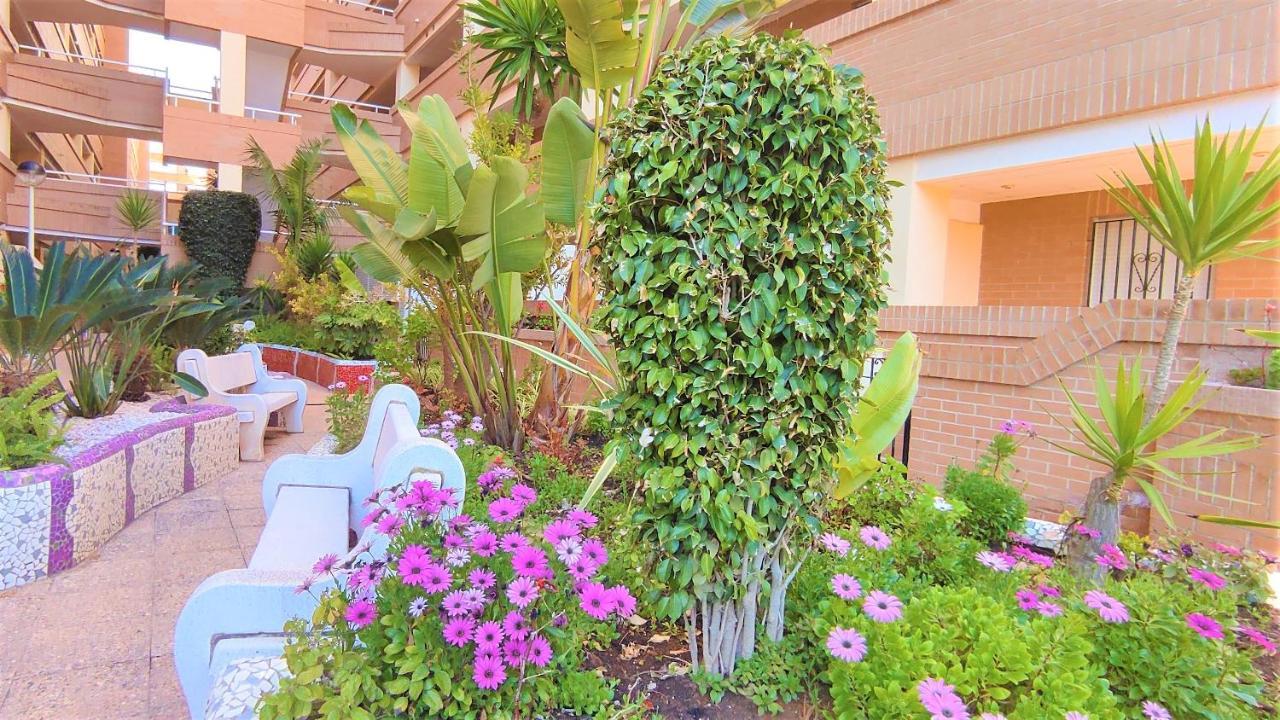 Apartamento Acv - Costa Caribe Ii - 2 Linea Planta Baja Sur *