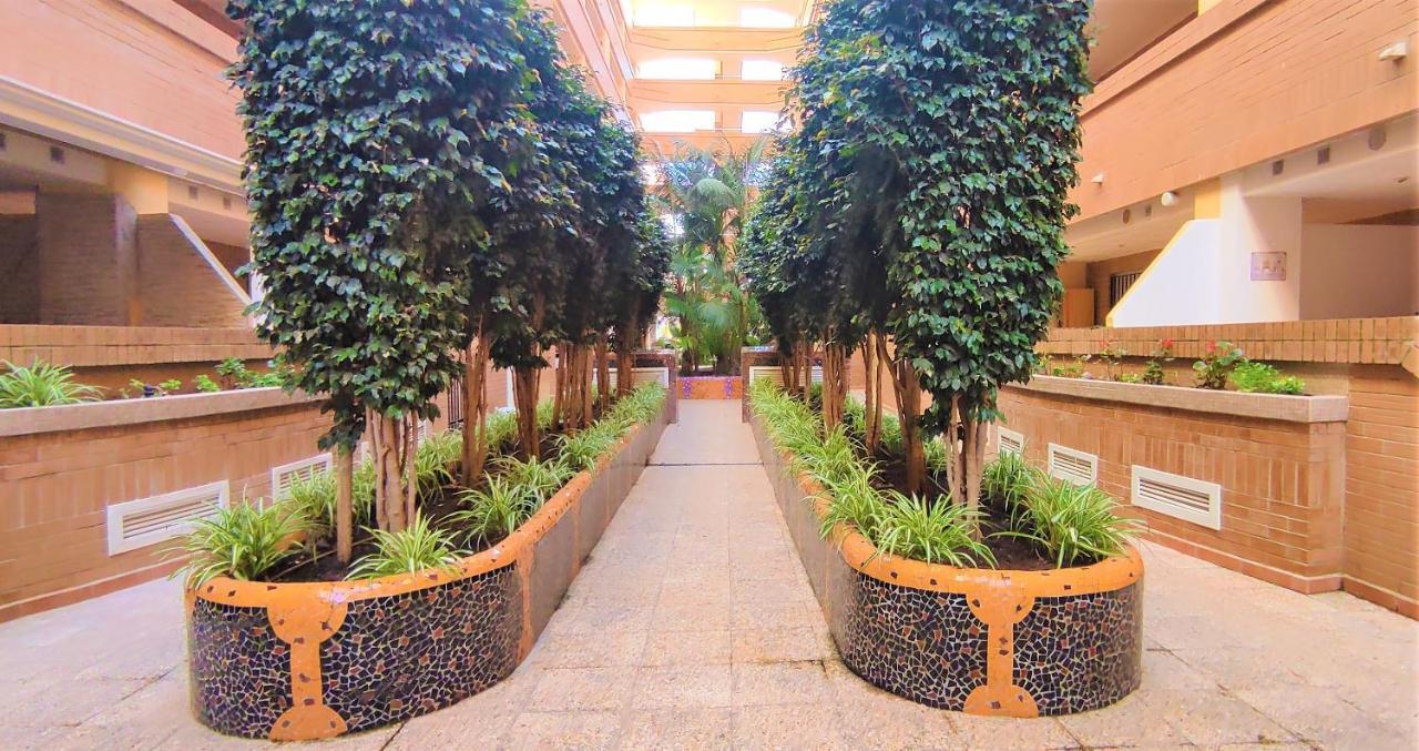 Apartamento Acv - Costa Caribe Ii - 2 Linea Planta Baja Sur Oropesa del Mar