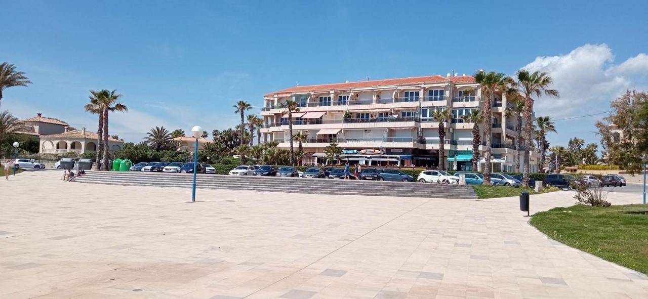 Apartahotel - - - - - Front Line - - - - - Primera Línea - - - - - In Playa Flamenca