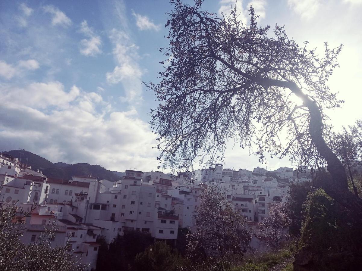 Apartamento Casa Pepe La Rosa Atico