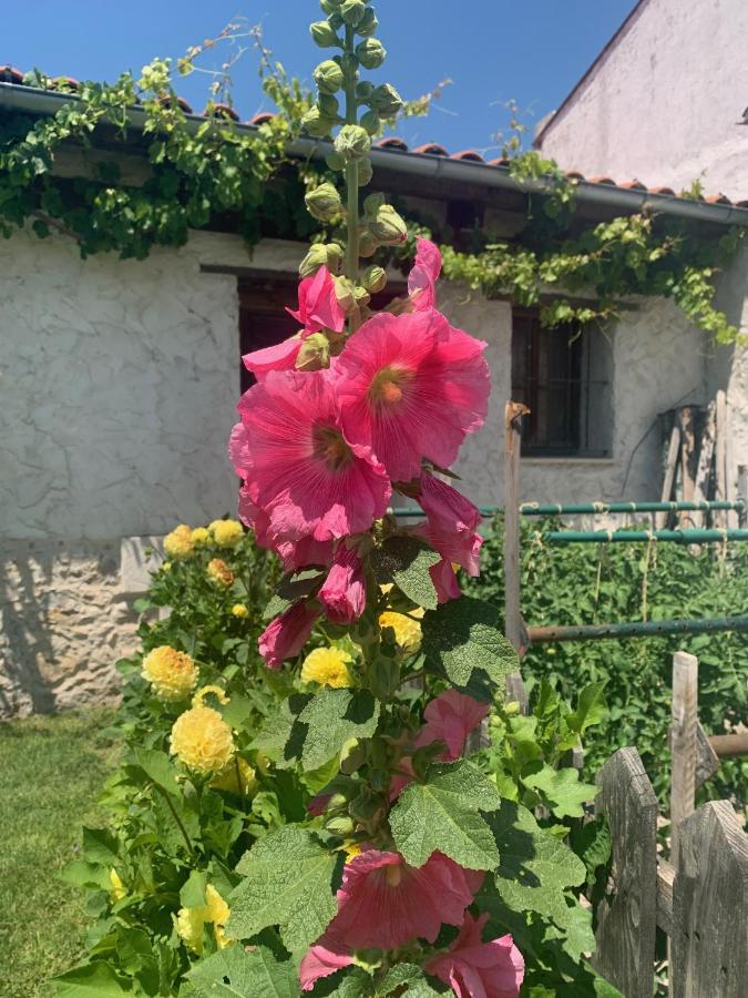 Casa Aperos