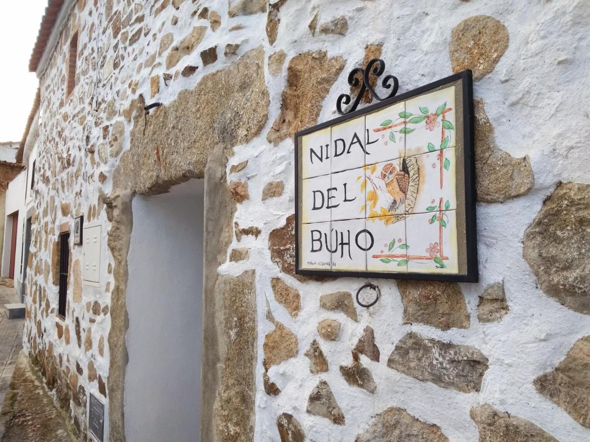Nidal Del Búho