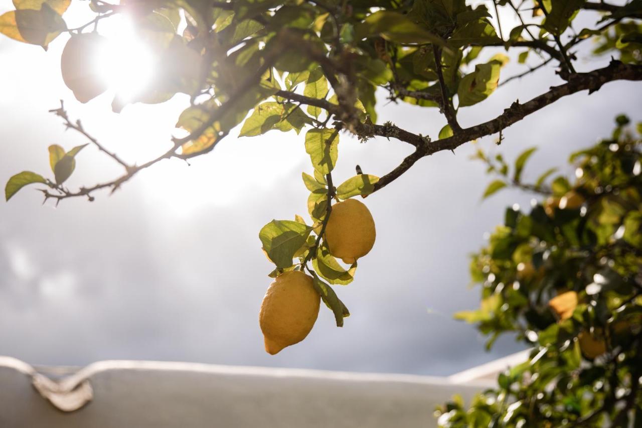 Сasa de vacaciones Rotes Con Jardin Y Barbacoa Sant Joan De Labritja