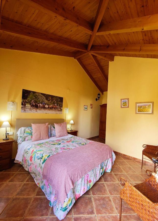 Hotel Doñana Blues Matalascañas