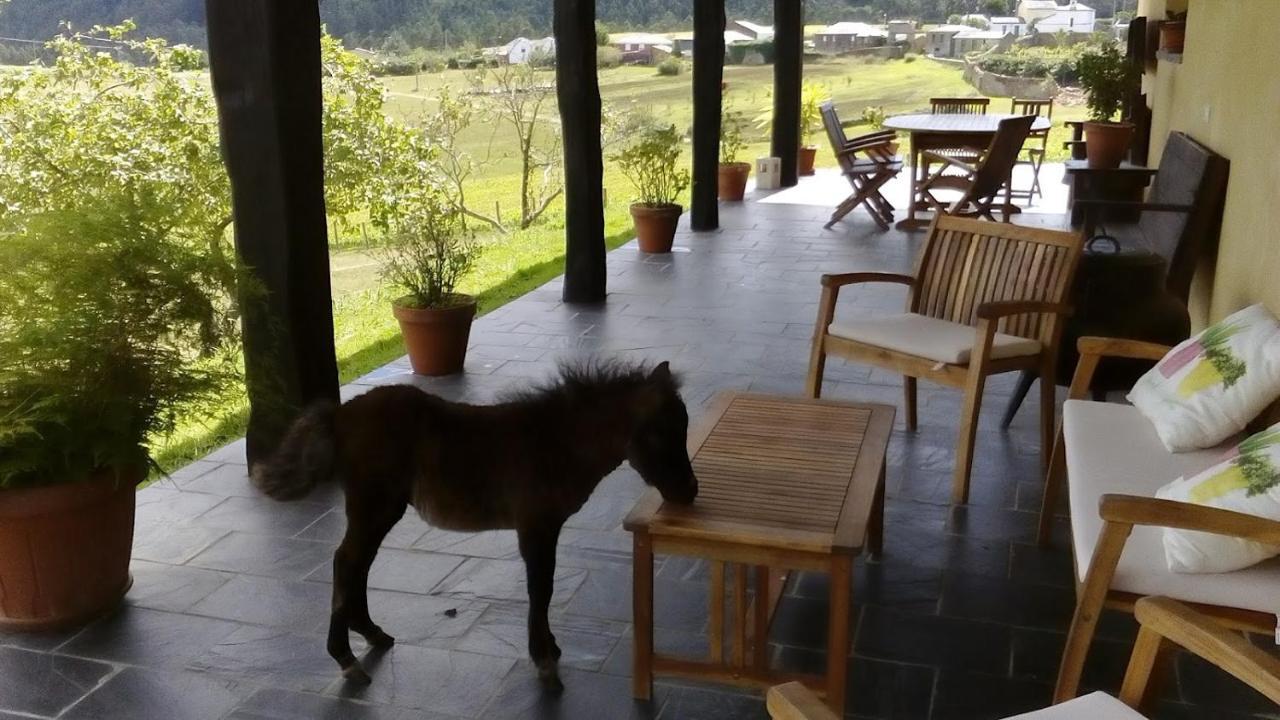 Apartment Casa Carballeira Villarfernando