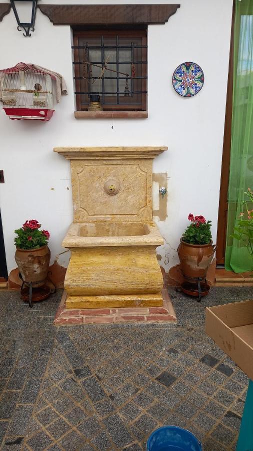 Jardines Del Acebron *
