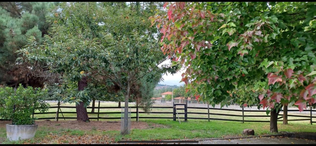 Finca O Fontao * Ourense