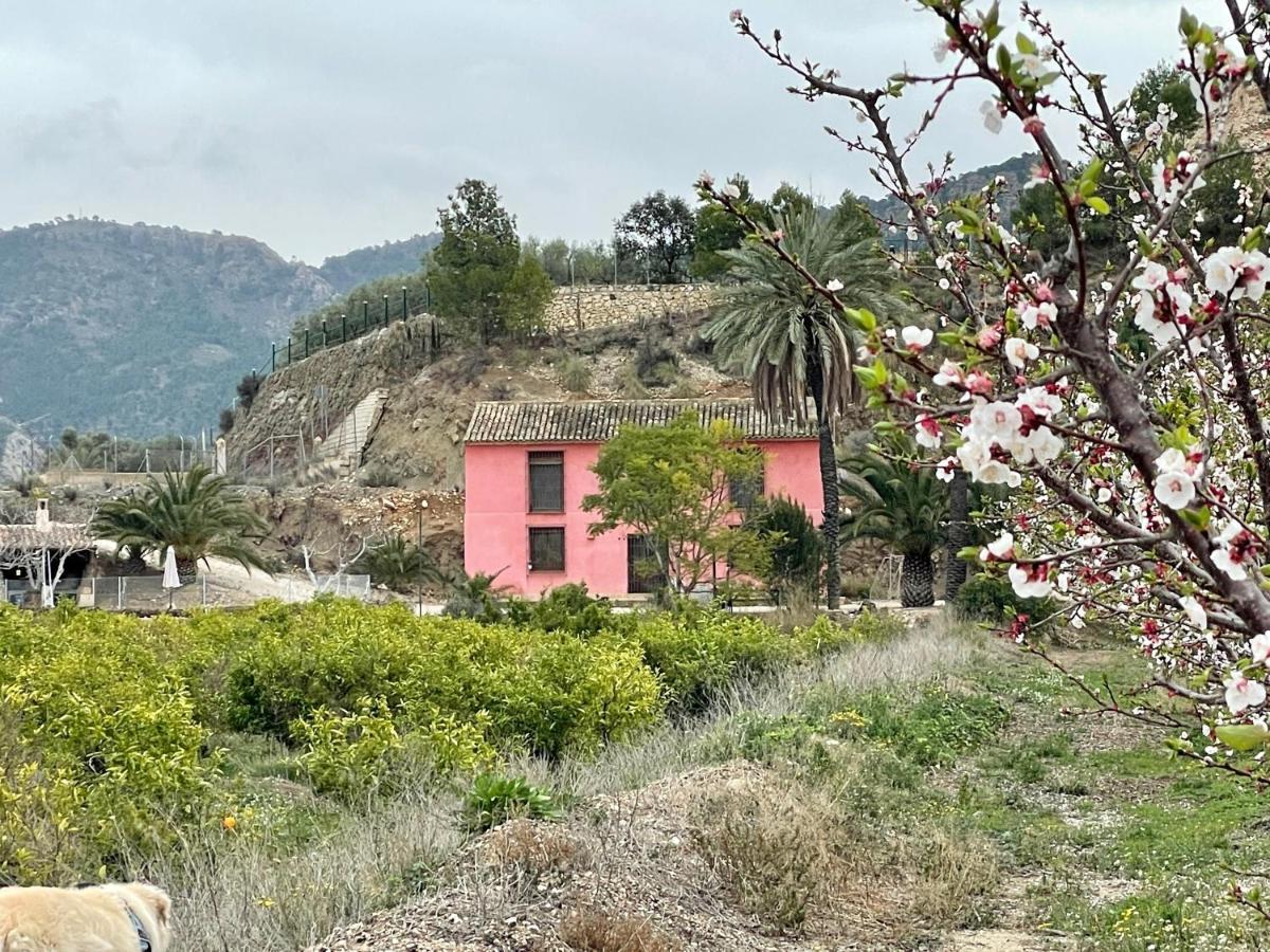 Casa Ramoncico. El Campillo Сasa de vacaciones Blanca