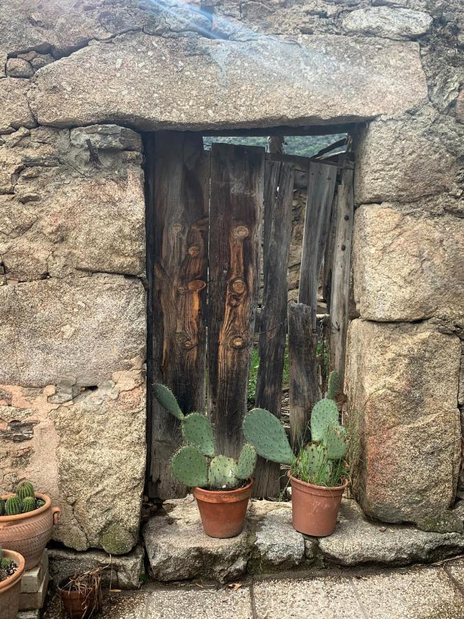 La Casita Del Hortelano