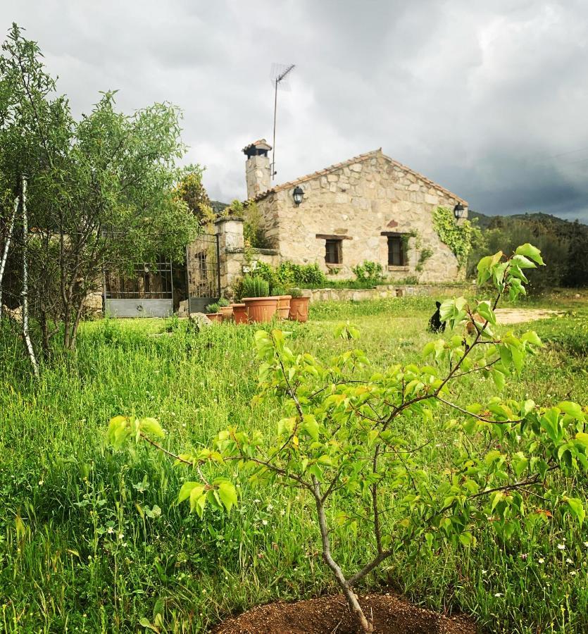 La Casita Del Hortelano Robledo de Chavela