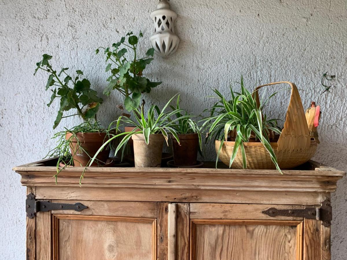 La Casita Del Hortelano * Robledo de Chavela