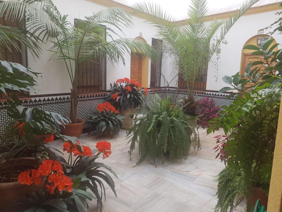 Casa Tipica Cordobesa *