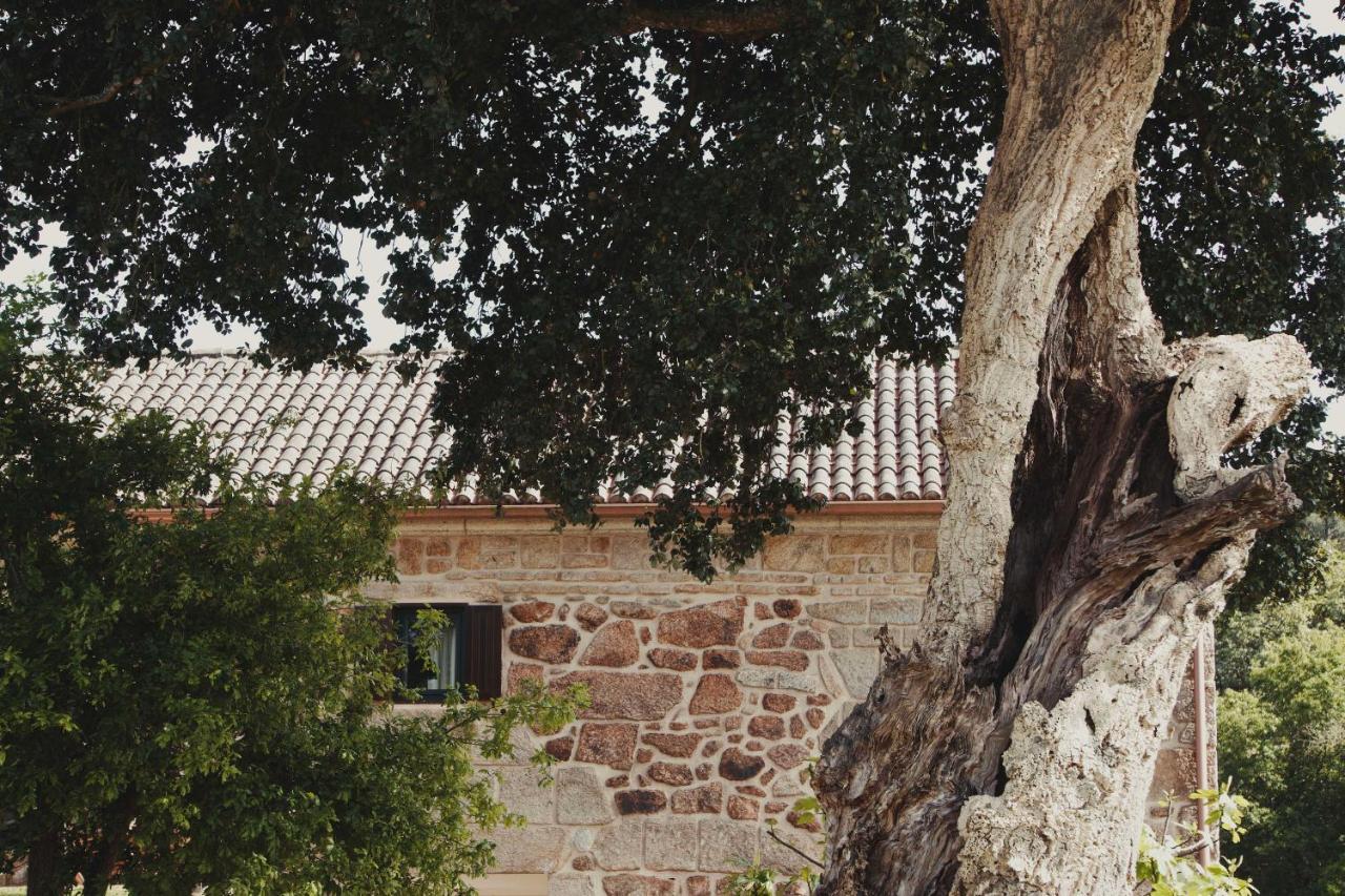El Abuelo De Arcos - Only Adults * Meis