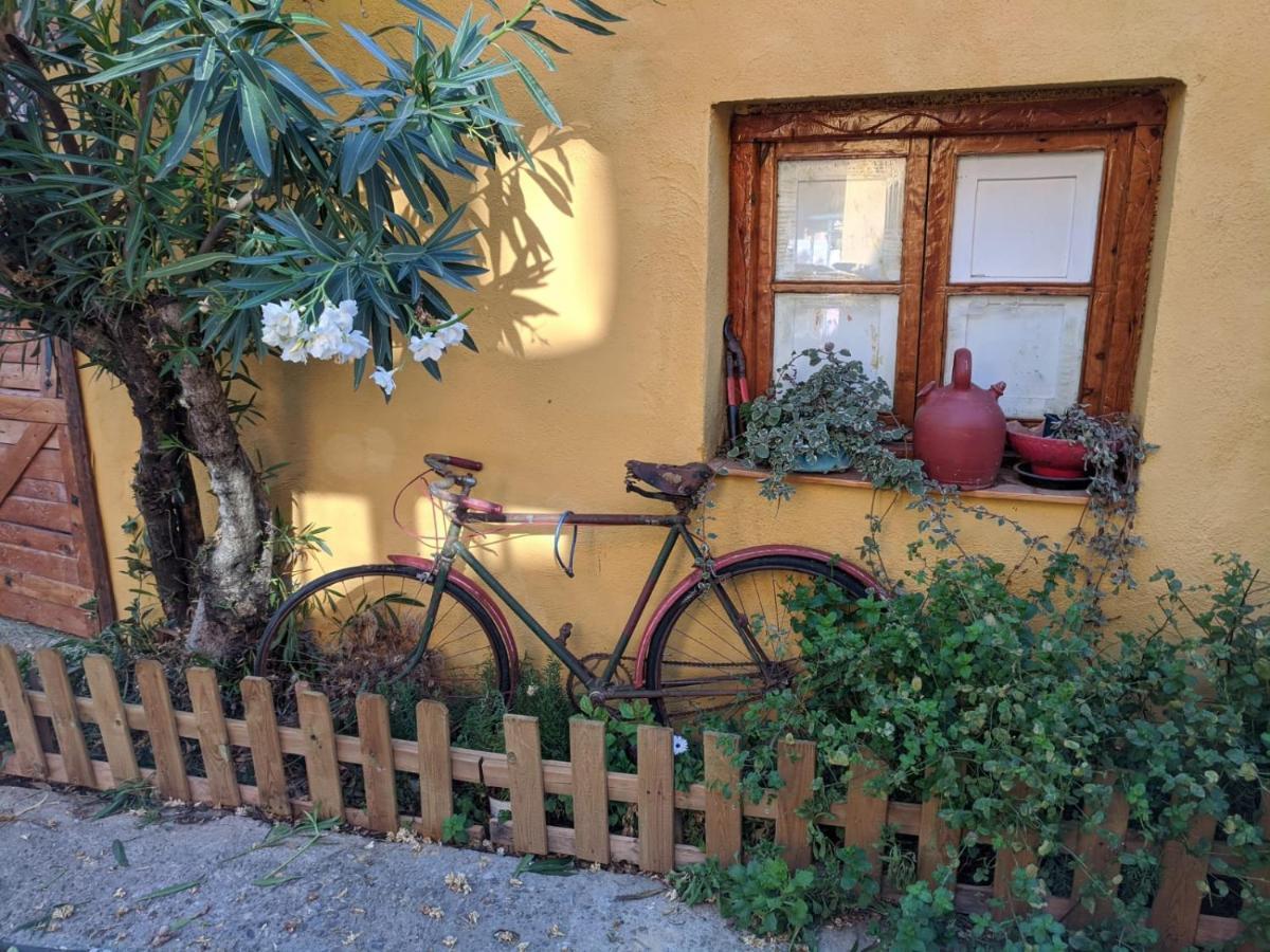 El Pinar De Bardena Holiday home Carcastillo