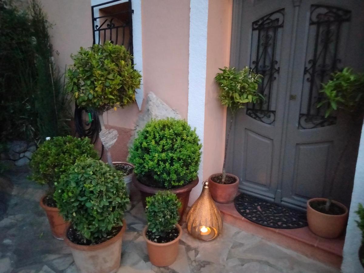 Les Penyetes Boutique